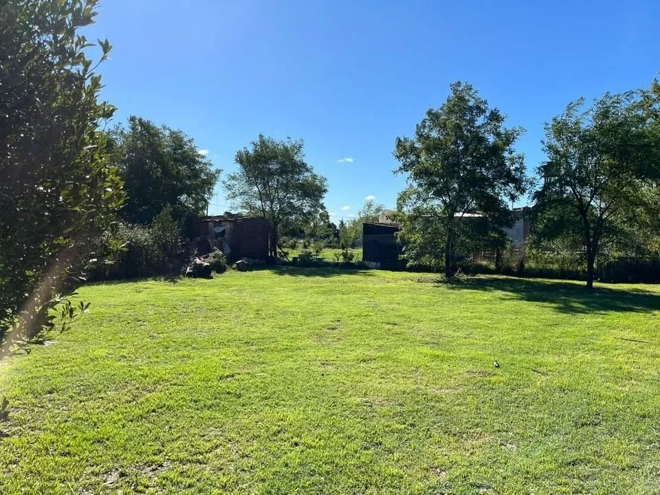 Terreno / Lote en venta de 800m2 ubicado en Cura Malal - Imagen 1