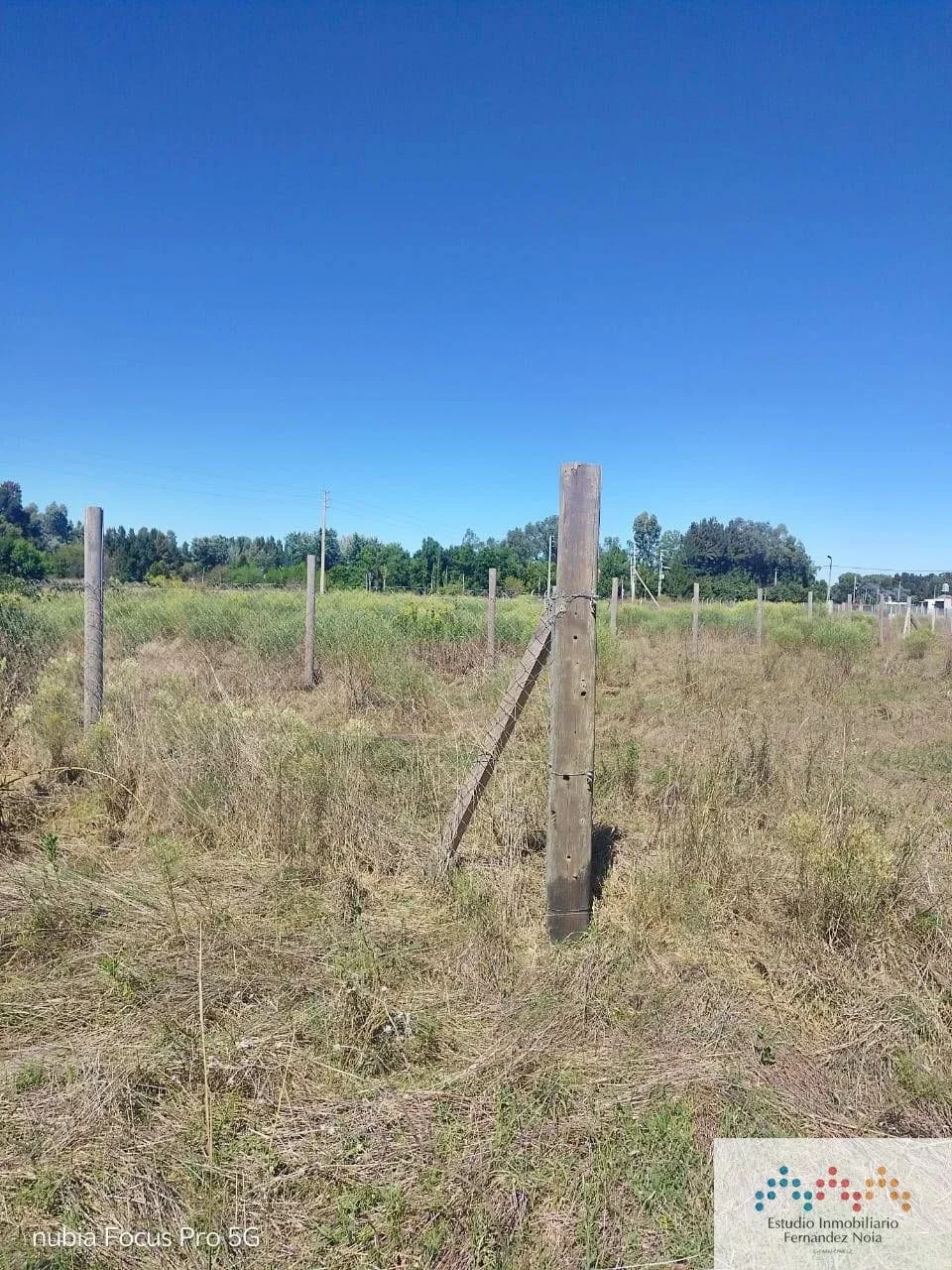 Terreno / Lote en venta de 734.2m2 ubicado en San Vicente - Imagen 2