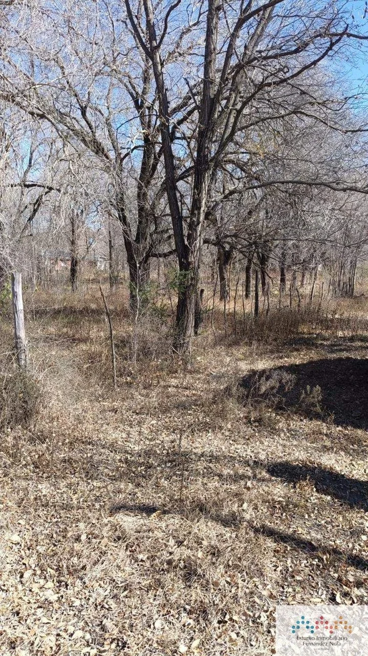 Terreno / Lote en venta de 120m2 ubicado en San Esteban - Imagen 5