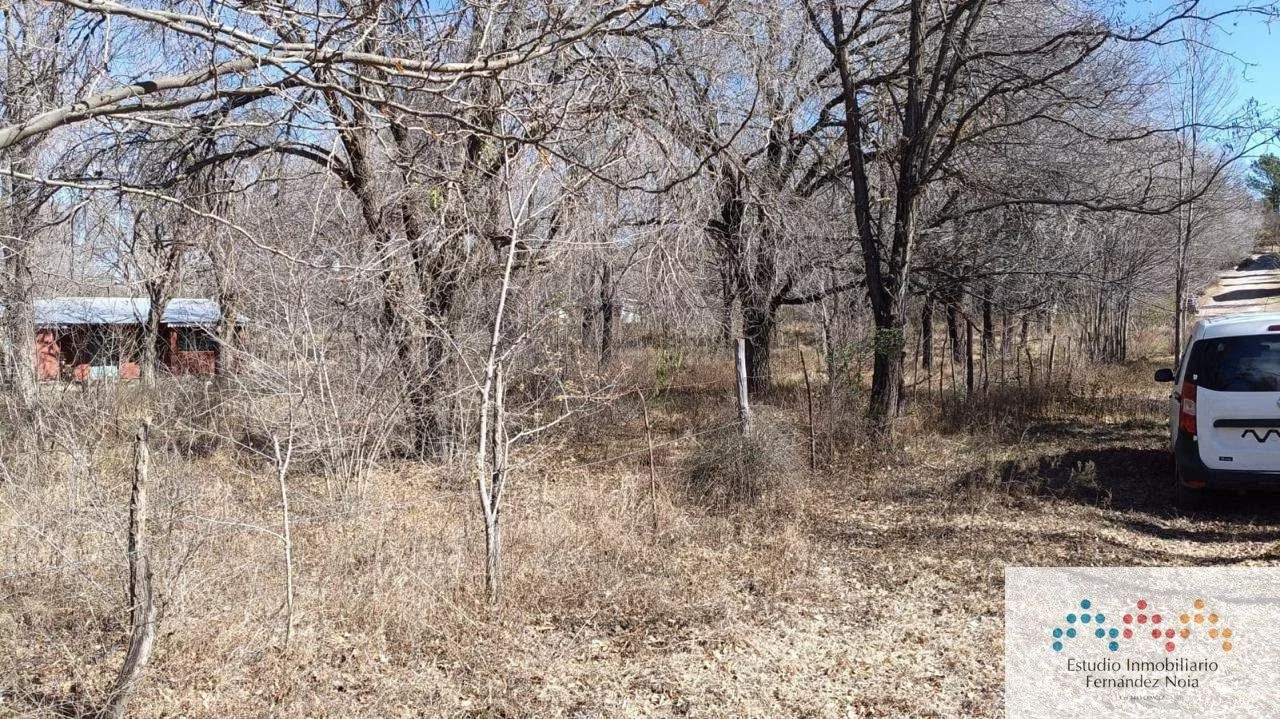 Terreno / Lote en venta de 120m2 ubicado en San Esteban - Imagen 4