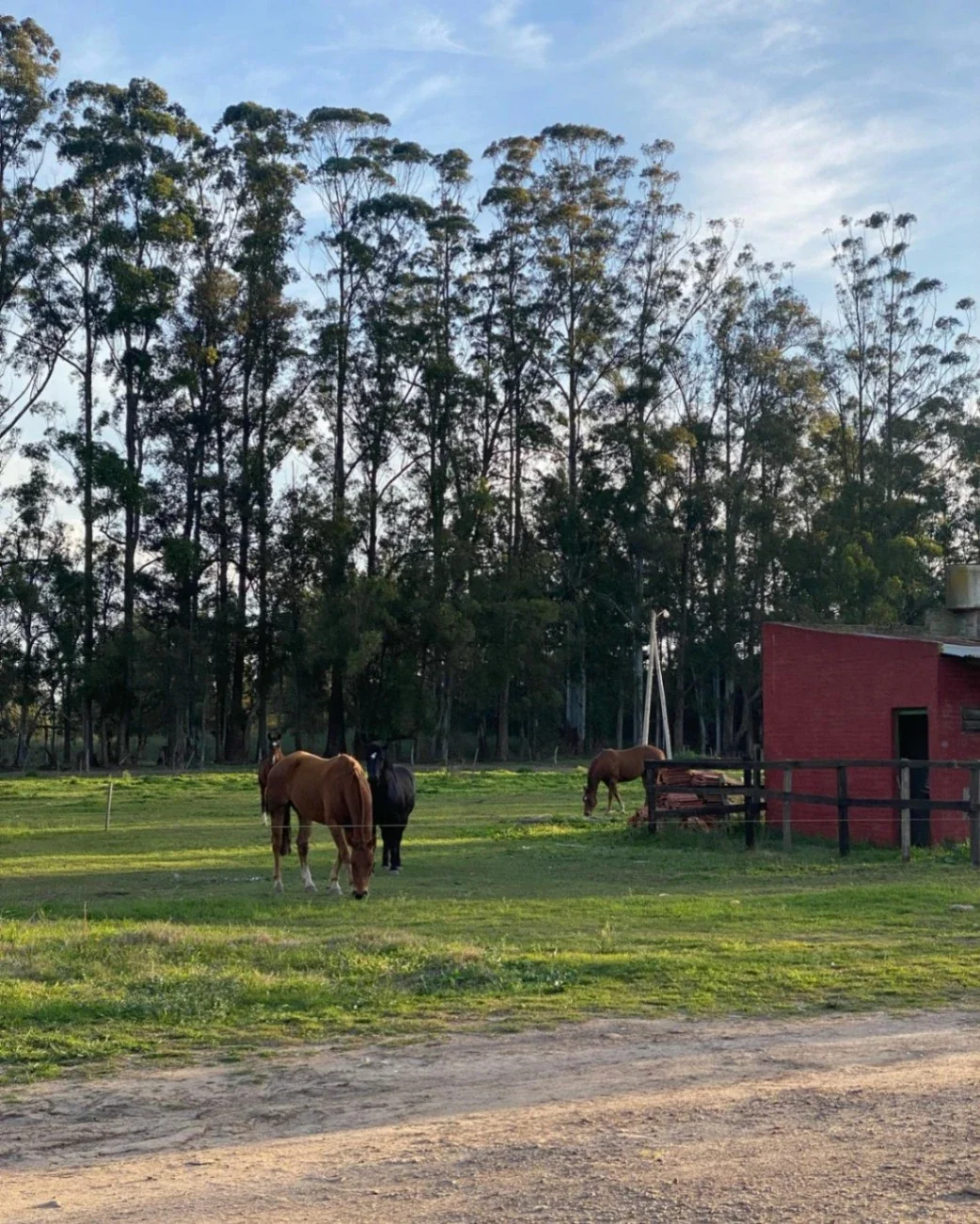 Lote interno en venta en Fincas de Lima, Zarate - Imagen 4