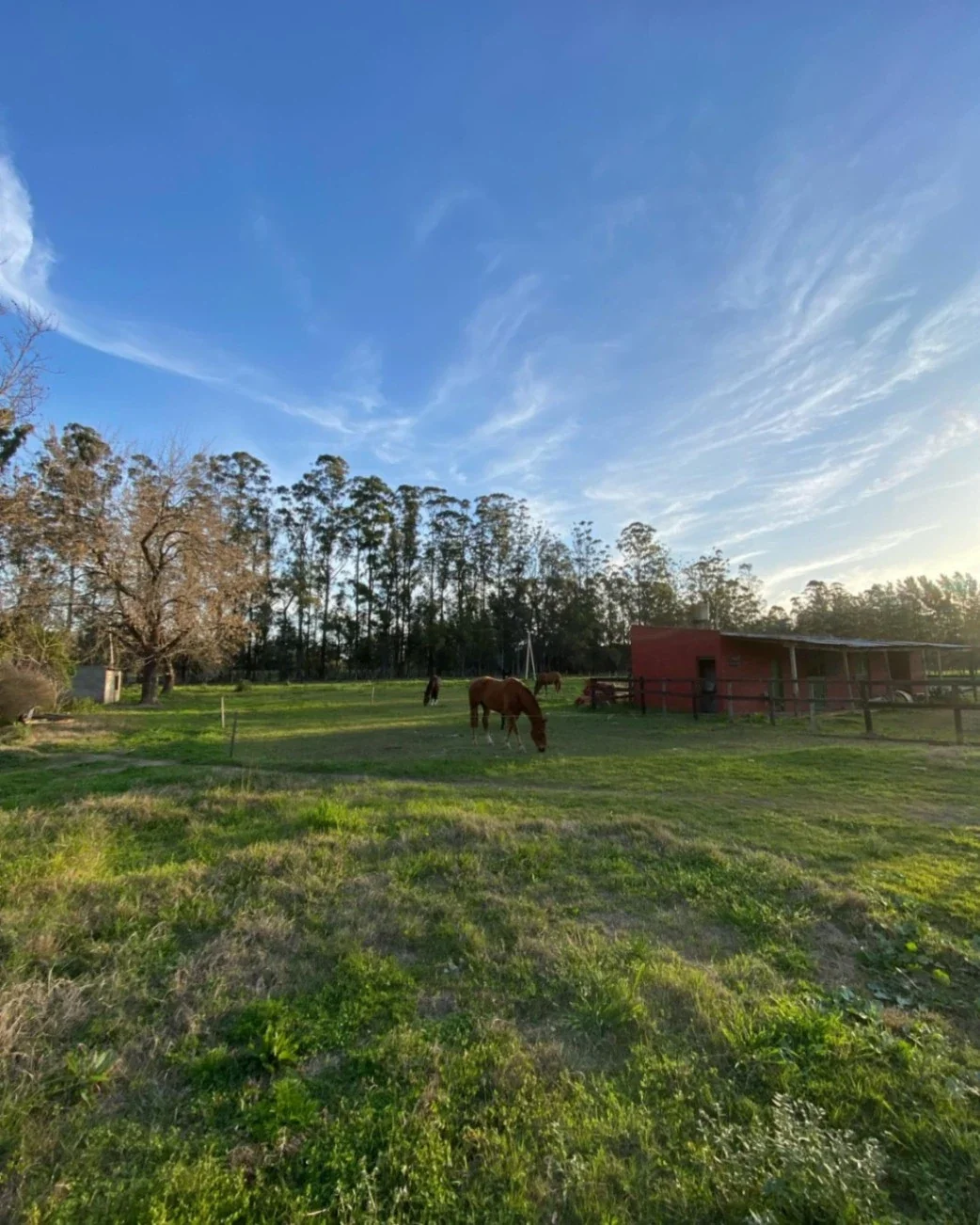 Lote interno en venta en Fincas de Lima, Zarate - Imagen 5
