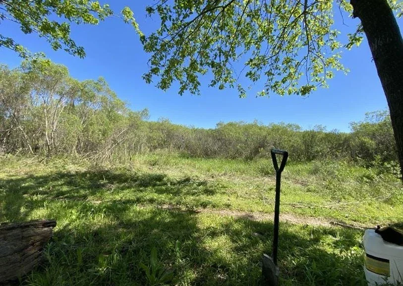 Terreno / Lote en venta de 5000m2 ubicado en Zelaya - Imagen 5