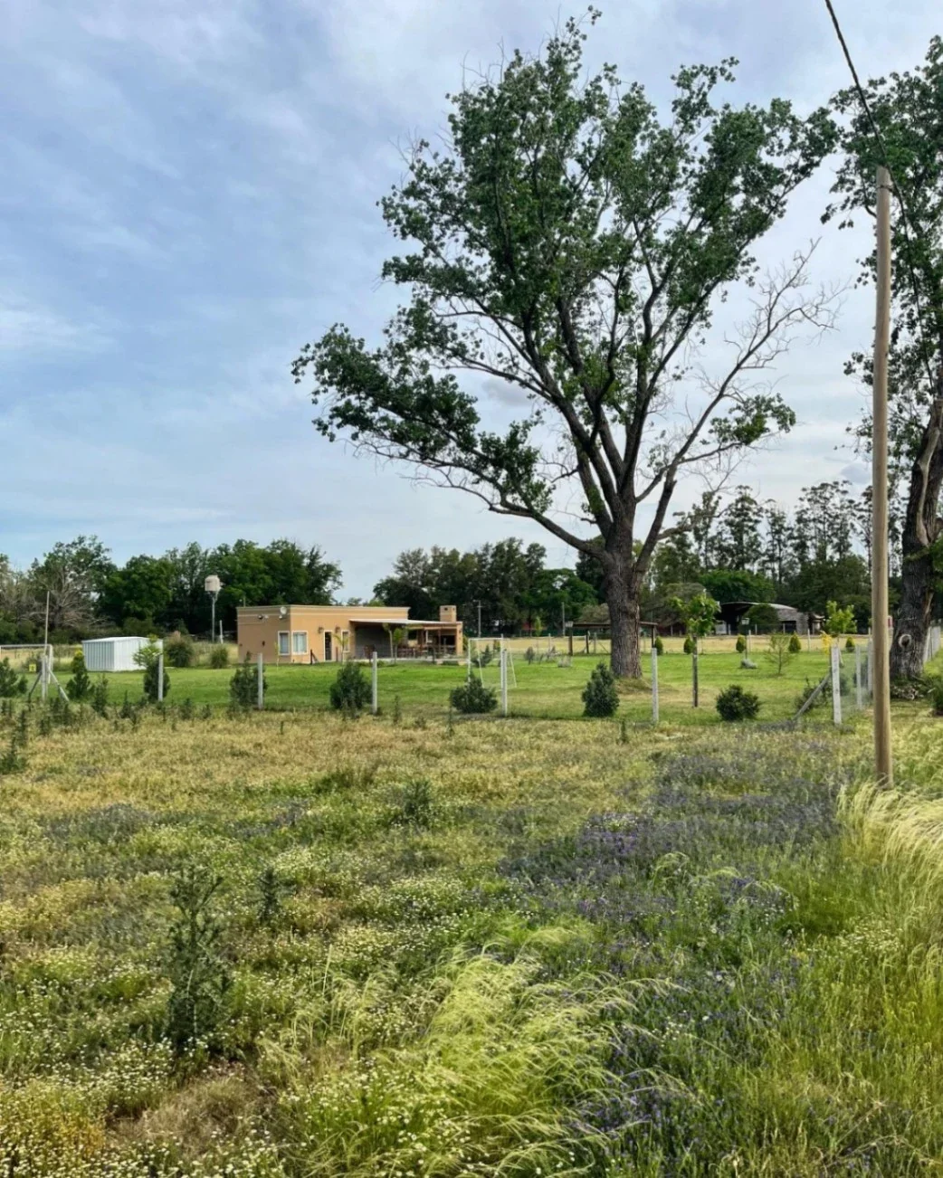 Lote interno en venta en Fincas de Lima, Zarate - Imagen 2