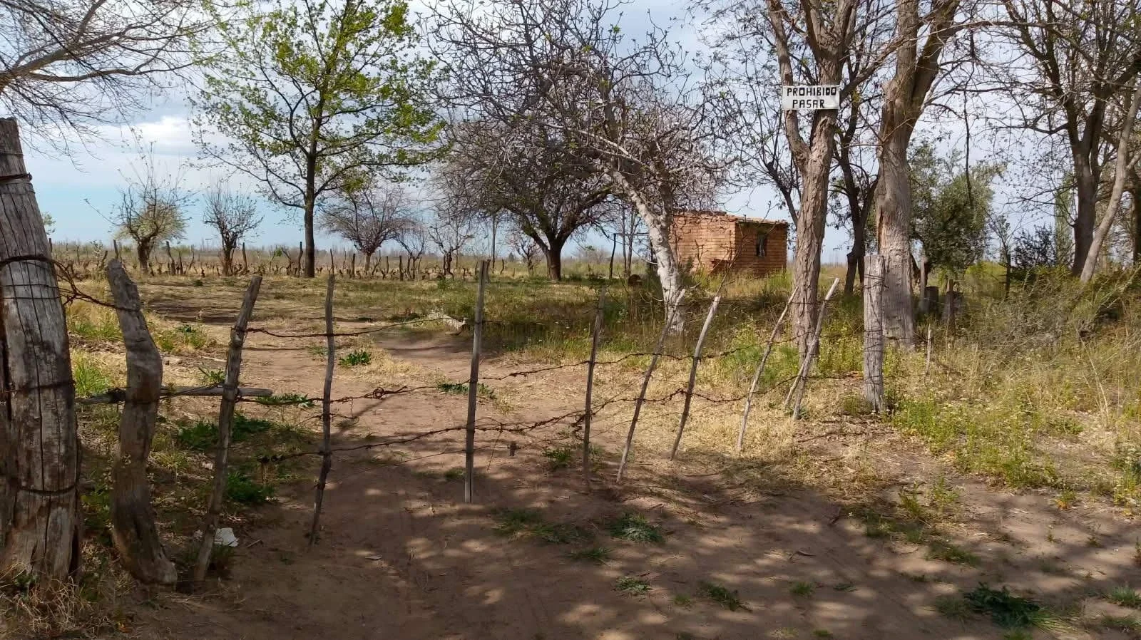 Excepcional finca de 10 hectáreas, Oportunidad!! San Rafael Mendoza - Imagen 5