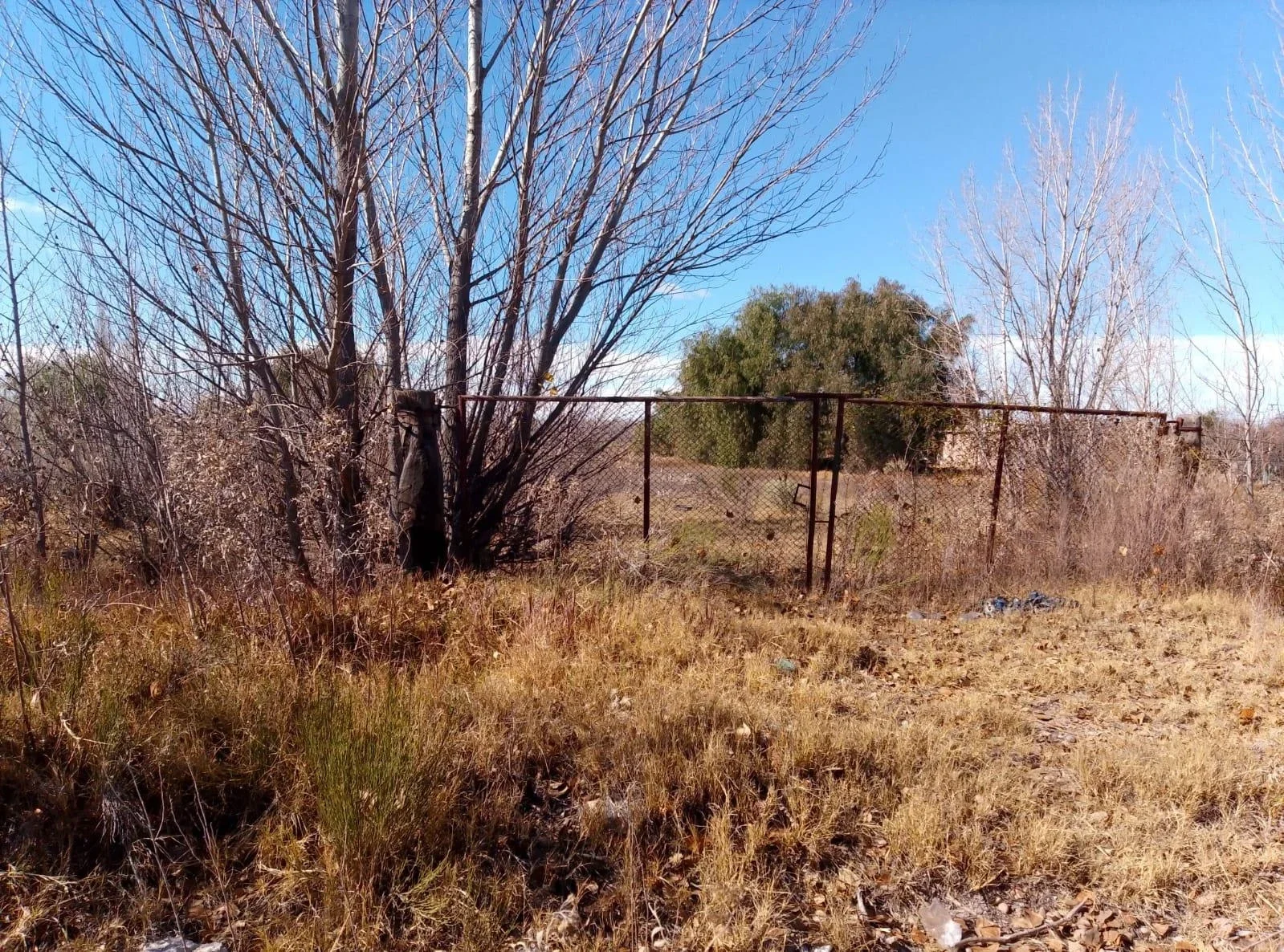Terreno / Lote en venta de 29.910m San Rafael ( Bolivar y Av Alberdi) - Imagen 1