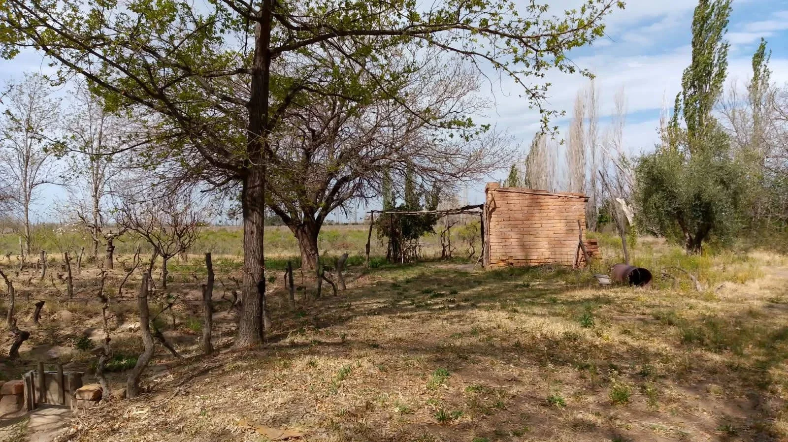 Excepcional finca de 10 hectáreas, Oportunidad!! San Rafael Mendoza - Imagen 3
