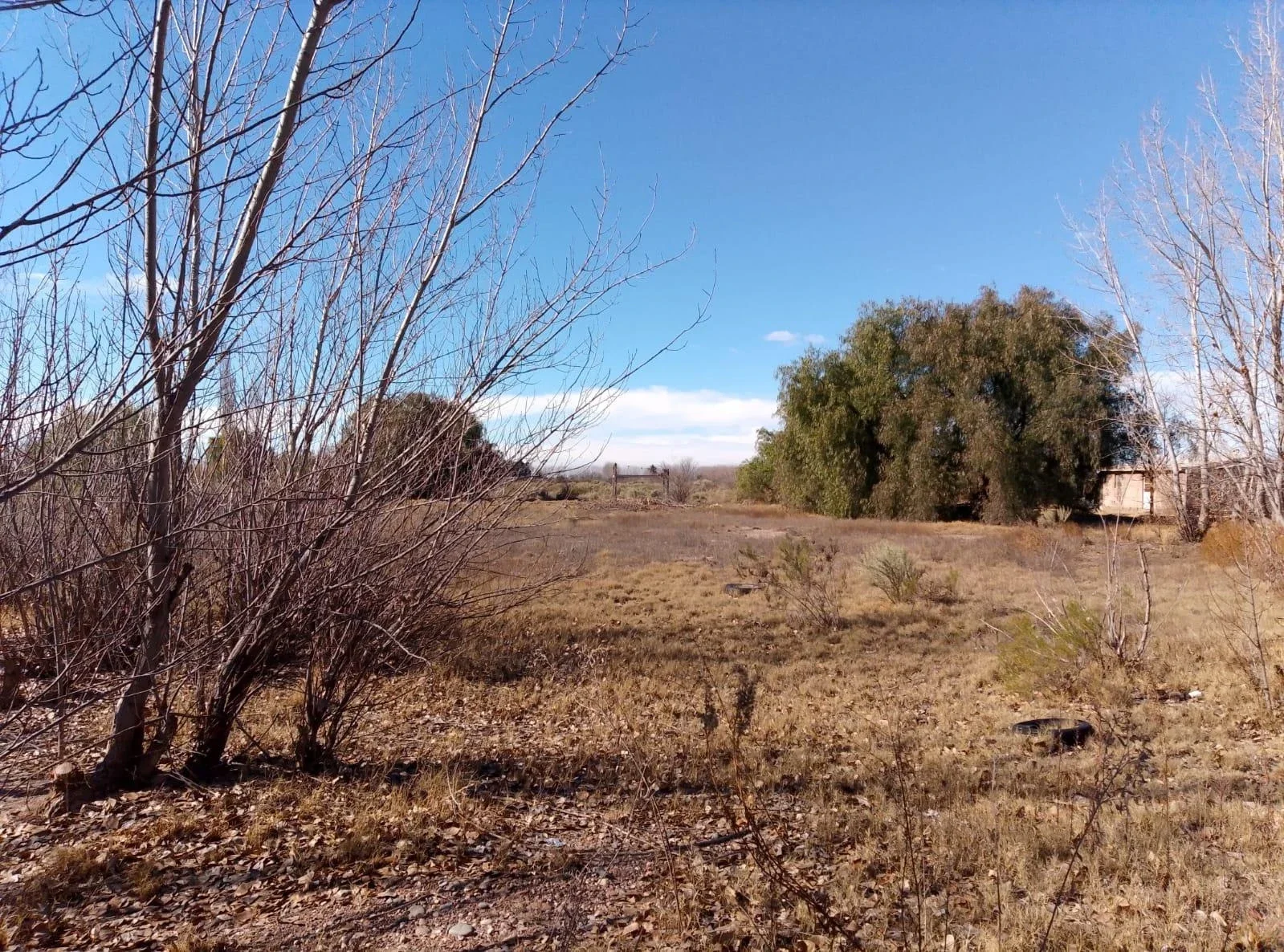 Terreno / Lote en venta de 29.910m  San Rafael ( Bolivar y Av Alberdi) - Imagen 2