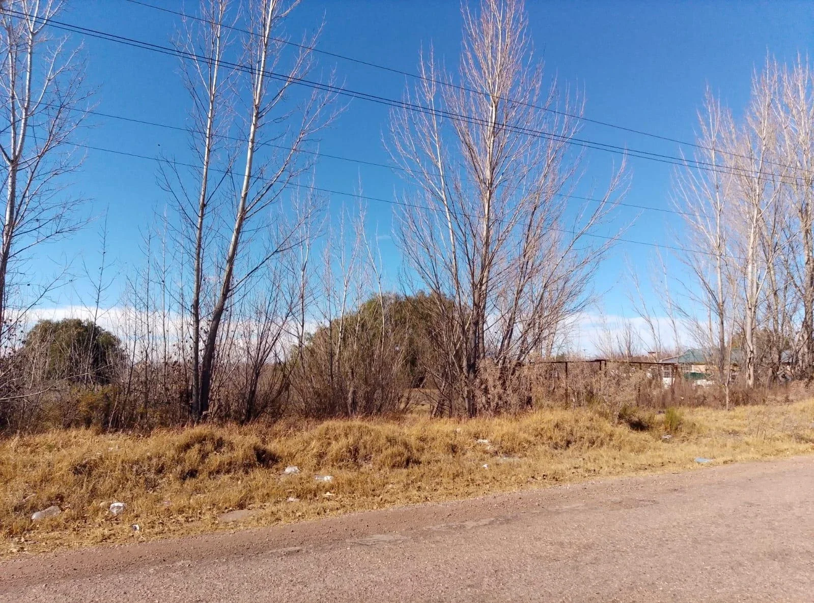 Terreno / Lote en venta de 29.910m  San Rafael ( Bolivar y Av Alberdi) - Imagen 3