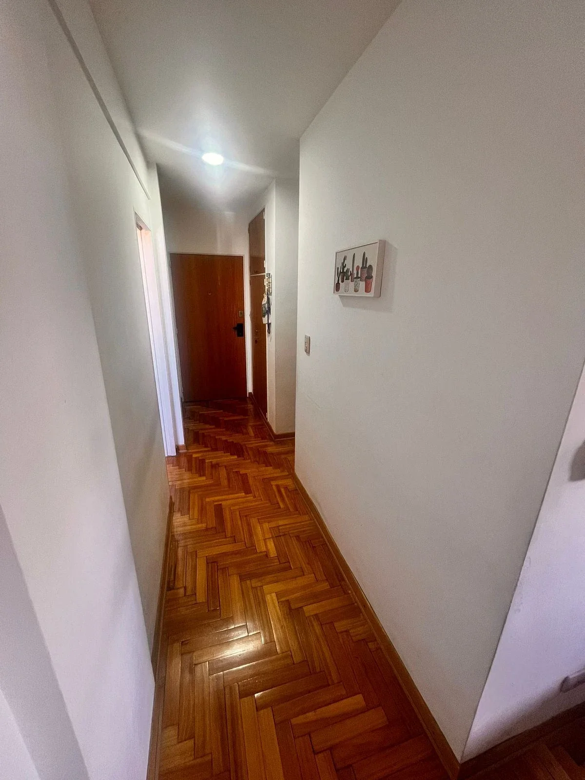 Departamento en alquiler de 1 dormitorio en Saavedra - Imagen 4