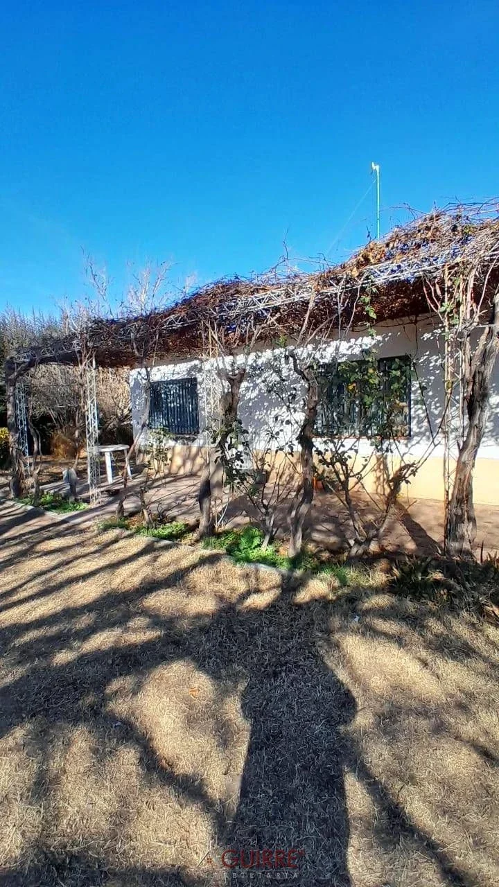 FINCA DE 3.5HA- CON CASA EN BUEN ESTADO DE CONSERVACIÓN - Imagen 5