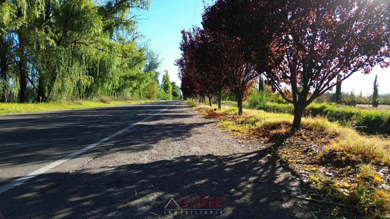 Terreno / Lote en venta de 2086.52m2 ubicado en San Rafael - Imagen 3