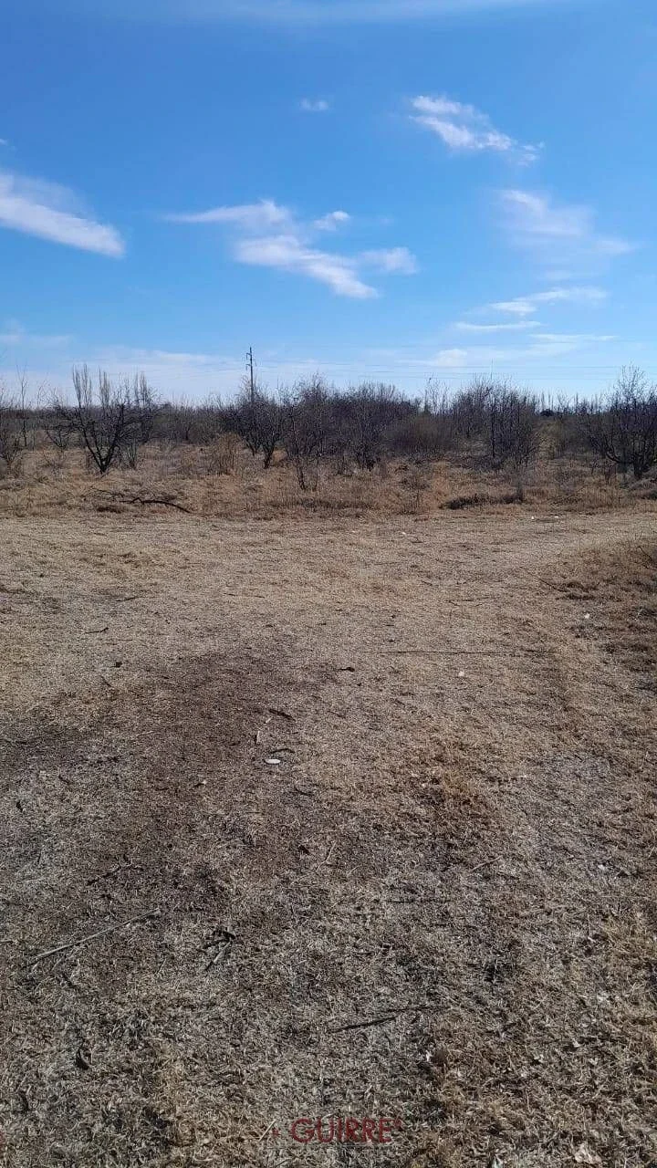 FINCA DE 3.5HA- CON CASA EN BUEN ESTADO DE CONSERVACIÓN - Imagen 4