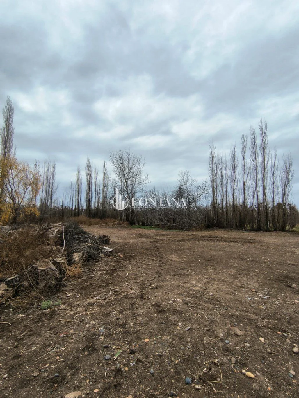 Chacra en venta de 10000m2 ubicado en General Enrique Godoy - Imagen 4