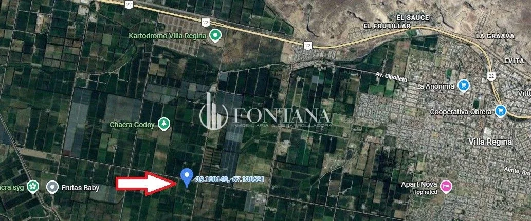 Chacra en venta de 10000m2 ubicado en General Enrique Godoy - Imagen 3