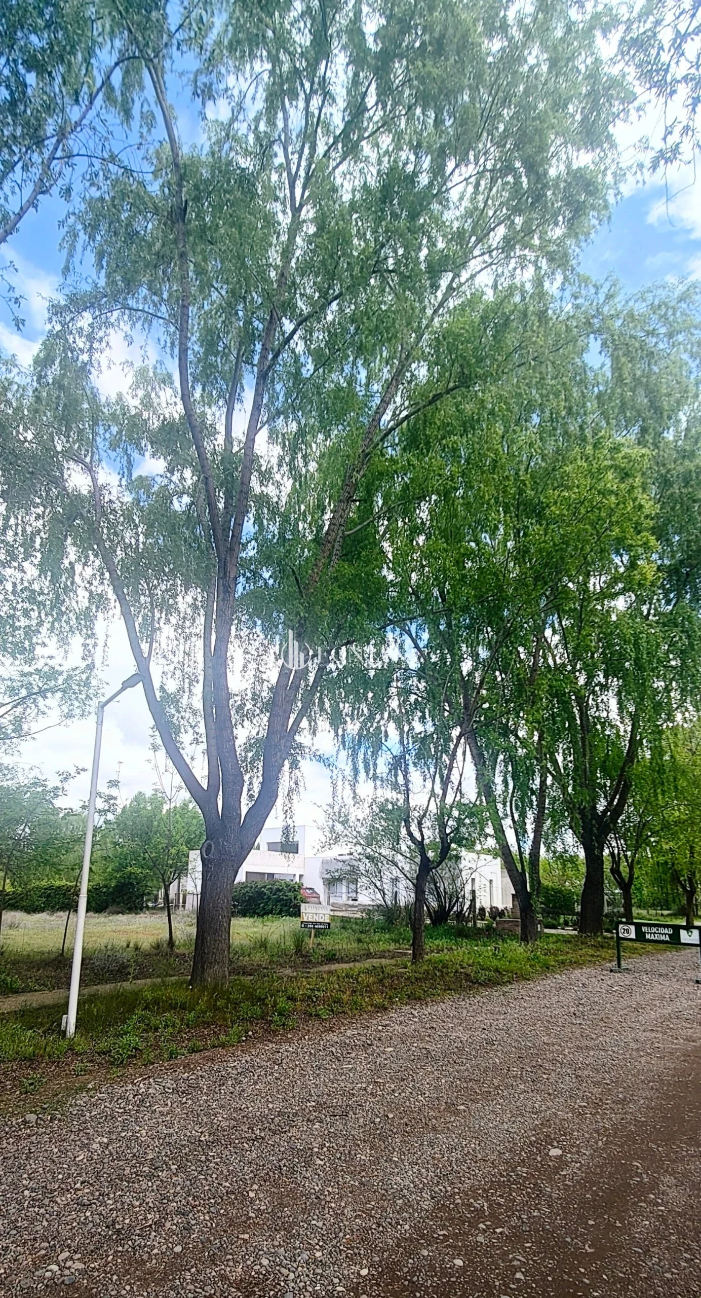 Lote al río en Las Caletas Nº 077 - Imagen 3