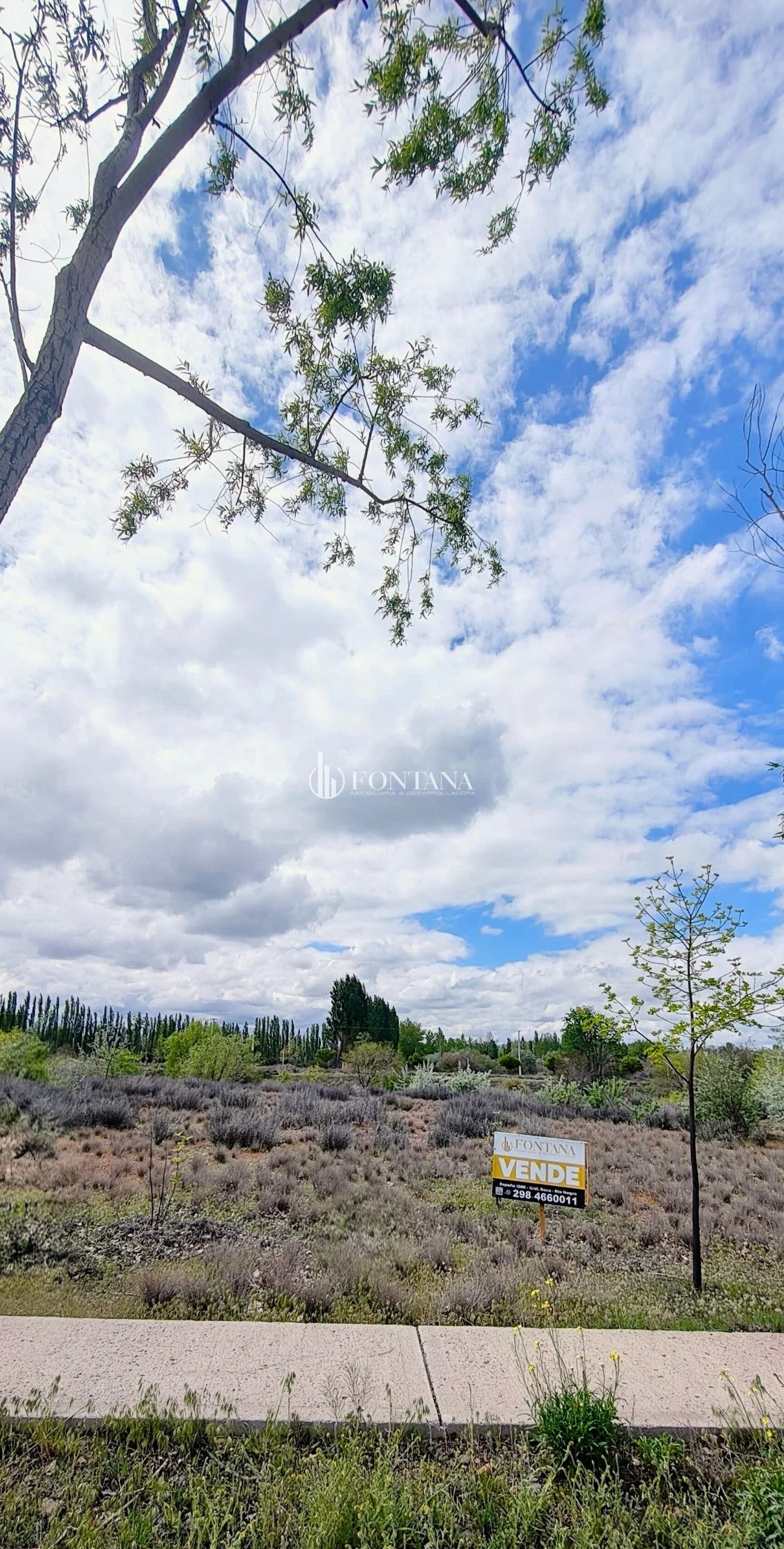 Lote en Las Caletas a la Laguna 882 mts² General Roca - Imagen 3