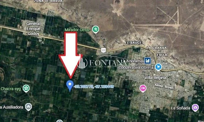 Chacra en venta de 10000m2 ubicado en General Enrique Godoy - Imagen 5