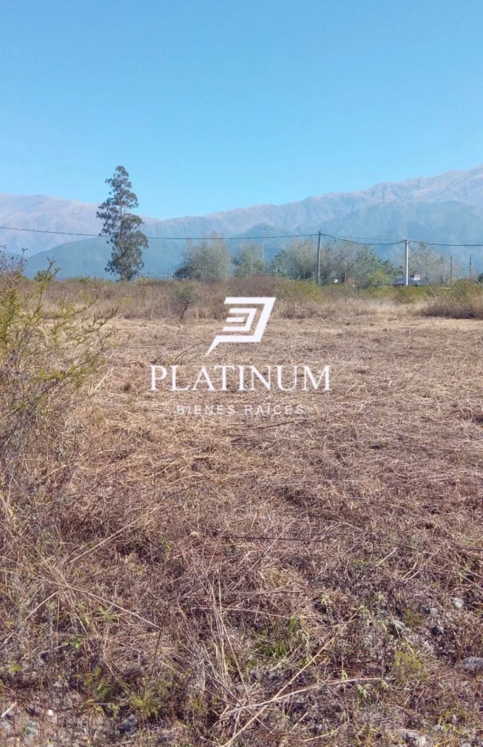 Terreno en venta ubicado en Campo Quijano - Imagen 3