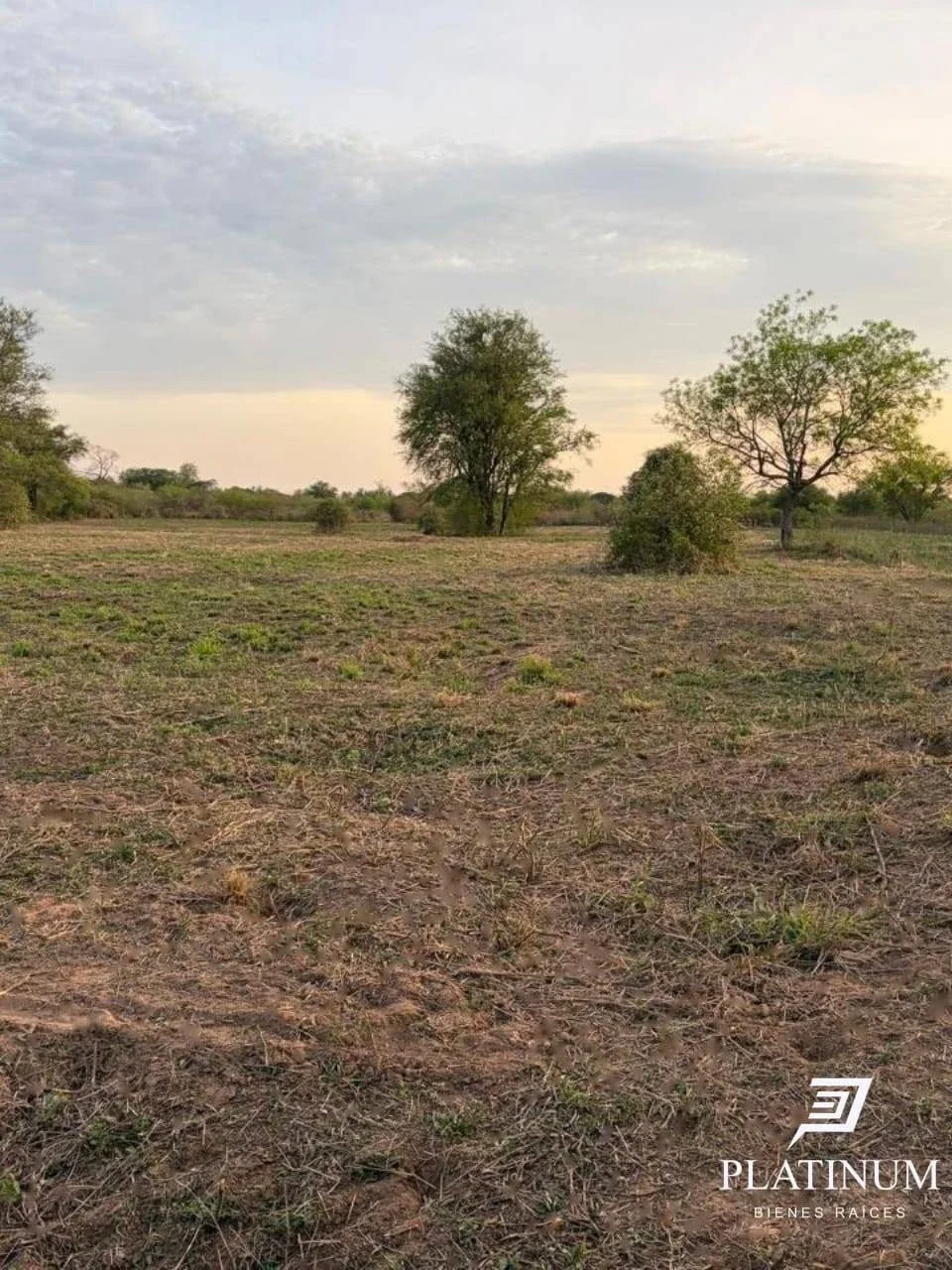 Lote en Venta en Embarcación.  7709m2 - Imagen 3