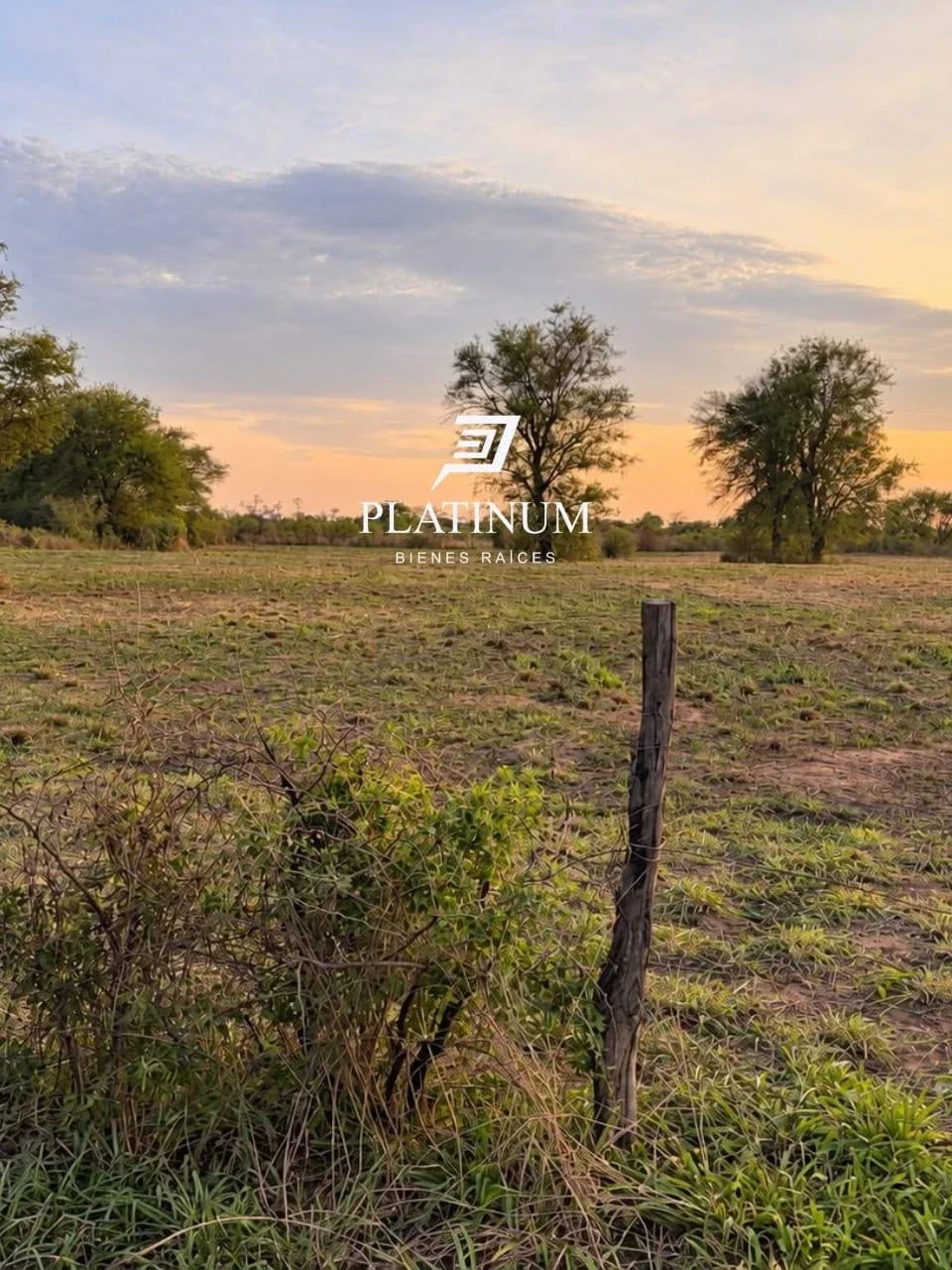 Lote en Venta en Embarcación. 7709m2 - Imagen 1