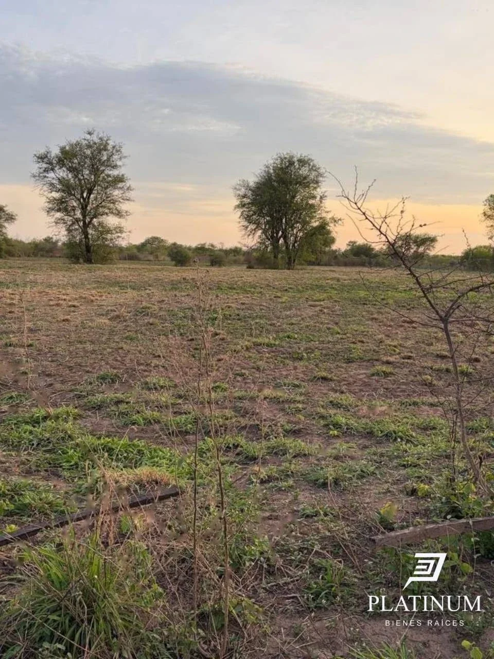 Lote en Venta en Embarcación.  7709m2 - Imagen 5