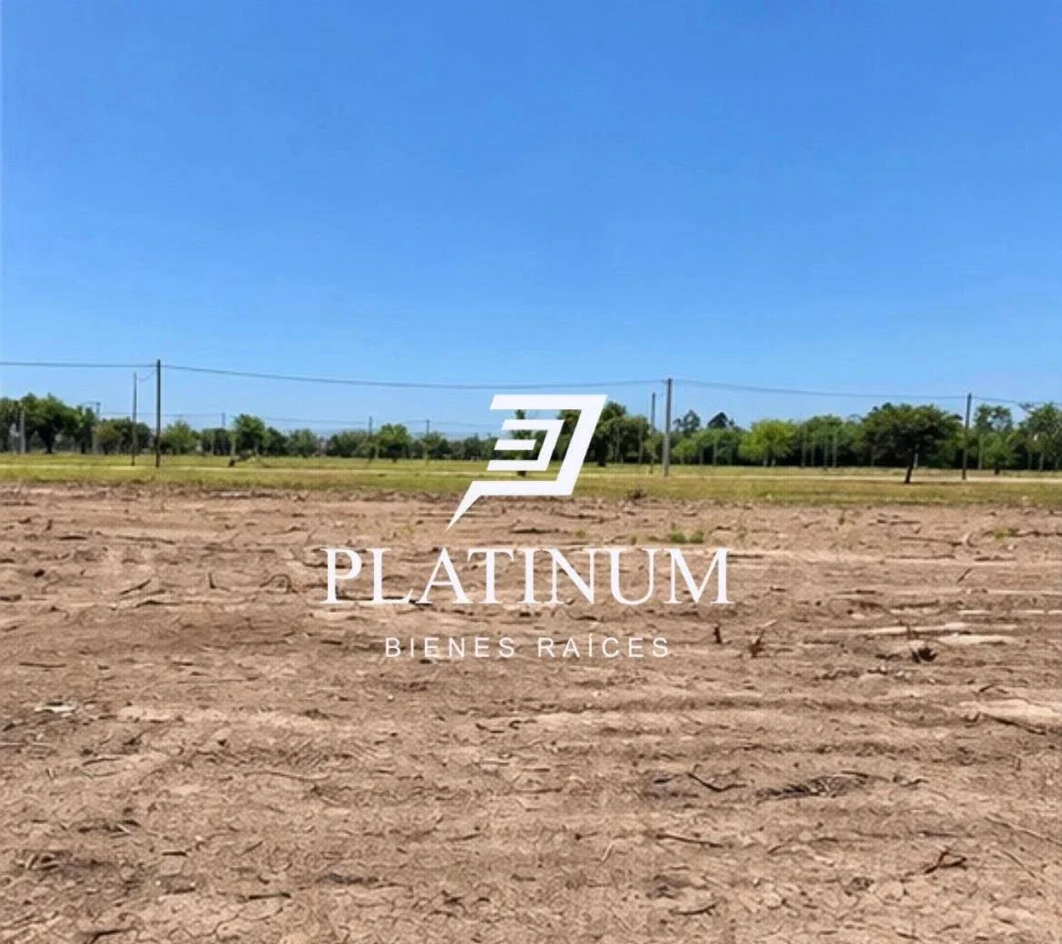 Terreno / Lote en venta de 310.06m2 ubicado en Zona Sur - Imagen 4