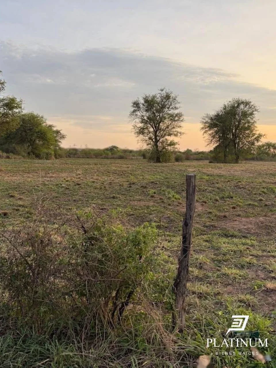Lote en Venta en Embarcación.  7709m2 - Imagen 2