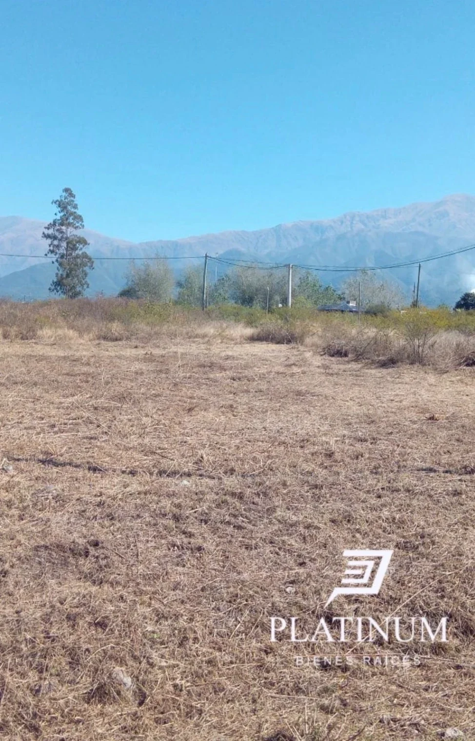 Terreno en venta ubicado en Campo Quijano - Imagen 5