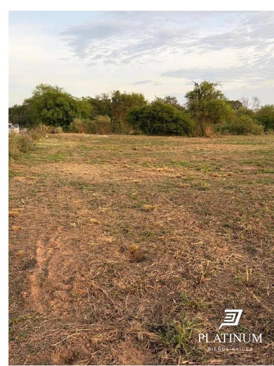 Lote en Venta en Embarcación.  7709m2 - Imagen 4