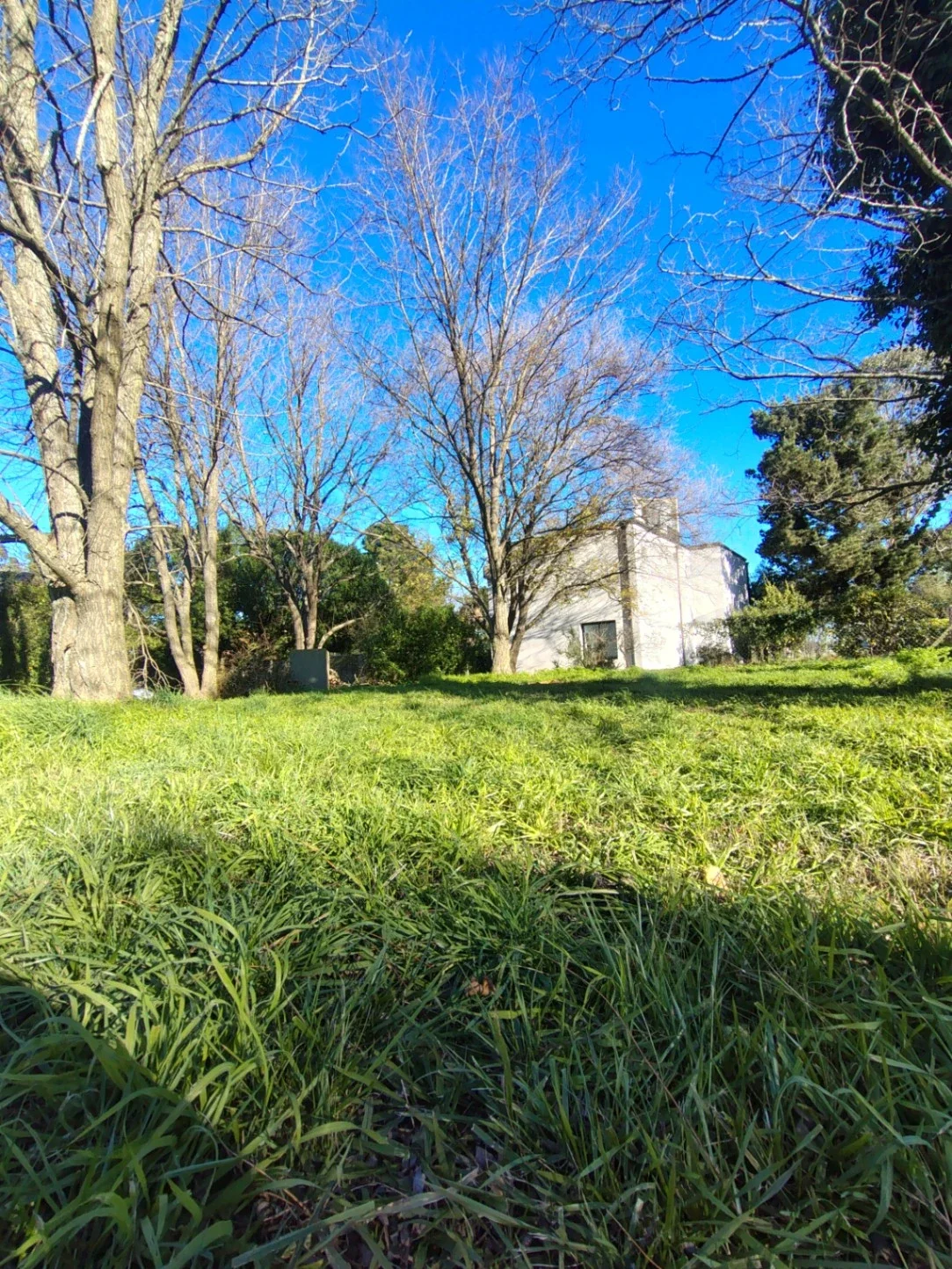 Terreno  Lote Venta Miramar - Imagen 3
