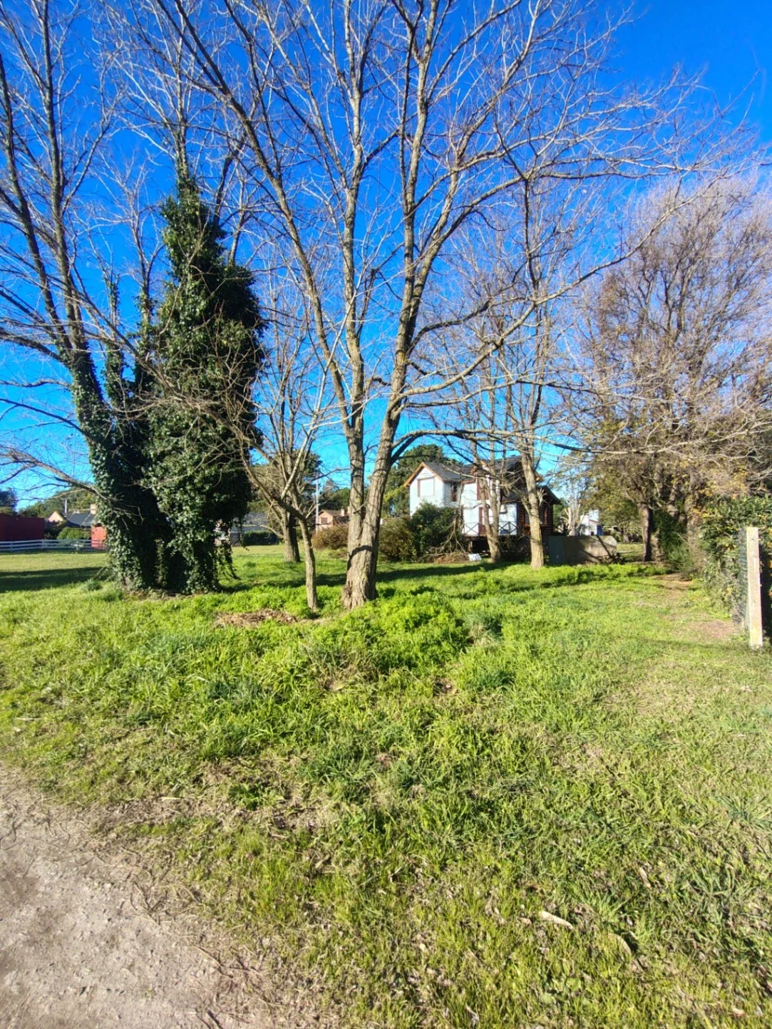 Terreno  Lote Venta Miramar - Imagen 2