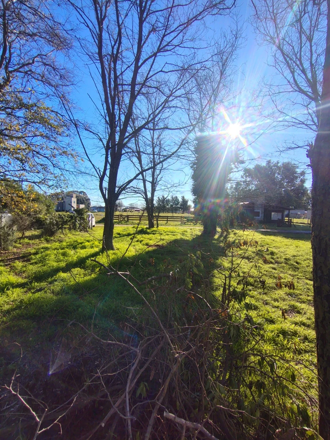 Terreno  Lote Venta Miramar - Imagen 4