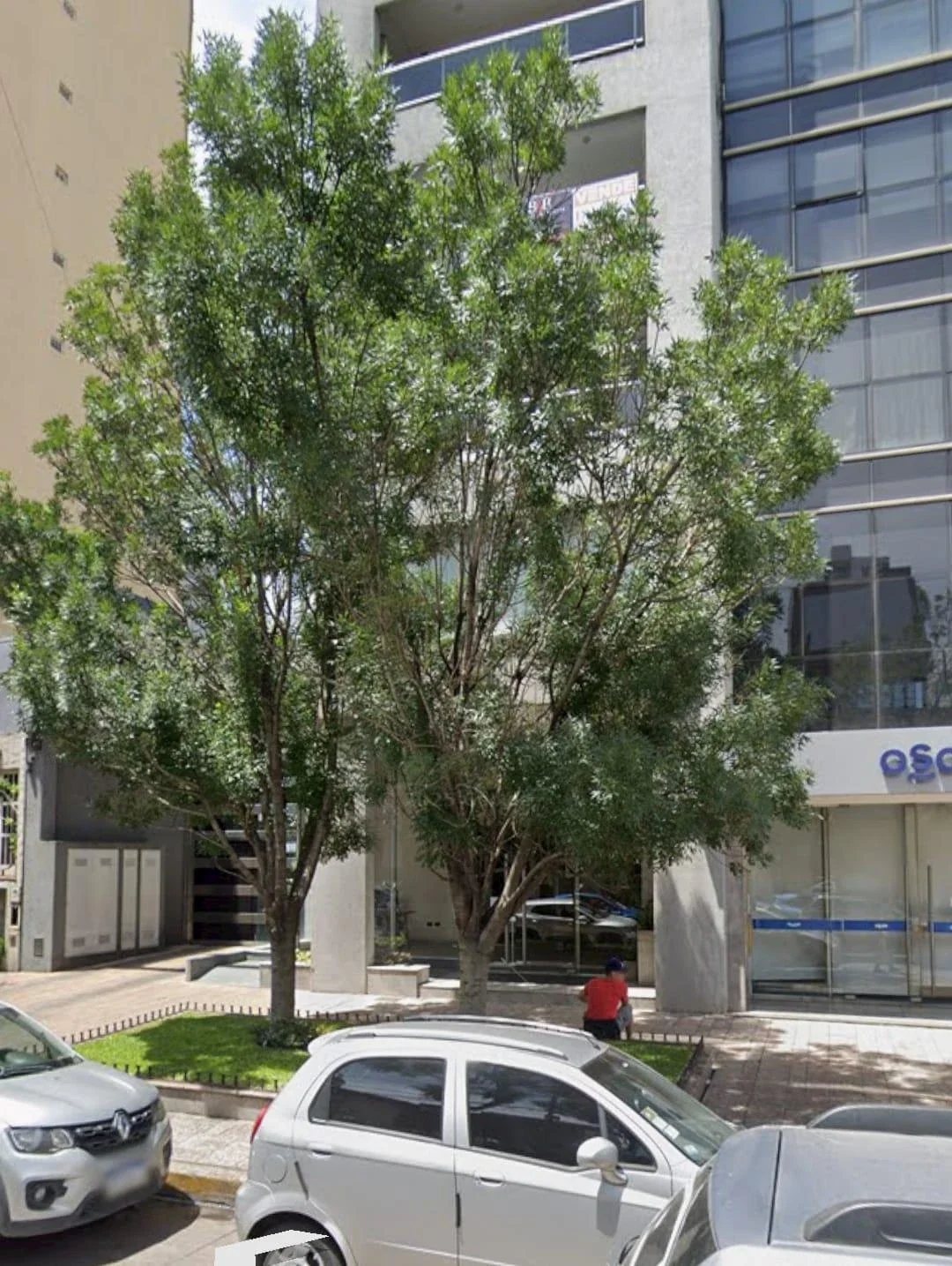 Venta Departamento 3 Amb. c/ cochera - Lomas de Zamora - Imagen 3