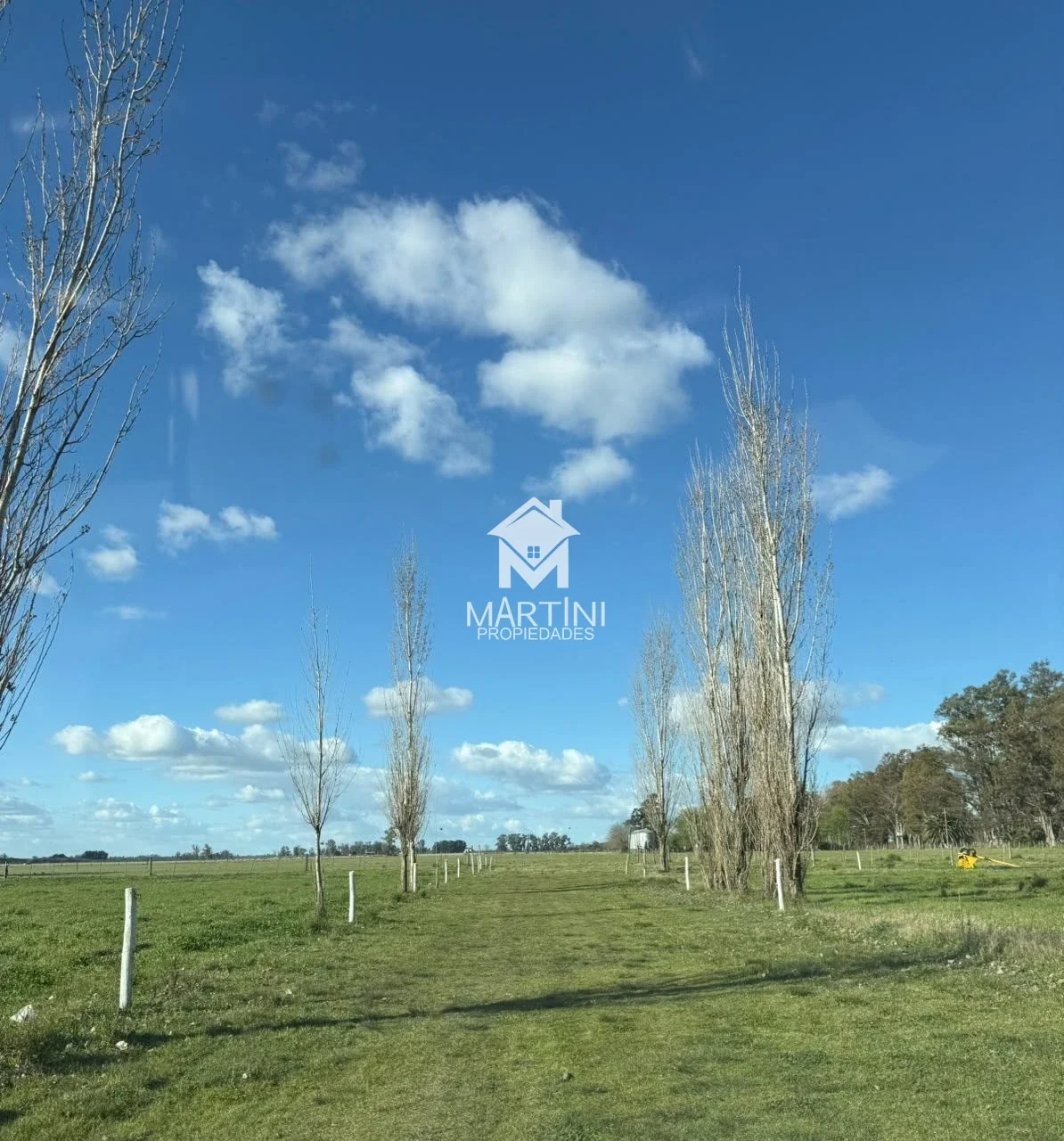 Chacra en venta de 33.748m2 ubicada en García, partido de Mercedes BsAs. - Imagen 4