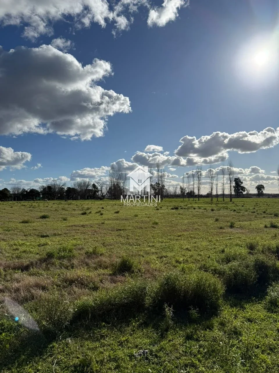 Chacra en venta de 33.748m2 ubicada en García, partido de Mercedes BsAs. - Imagen 2