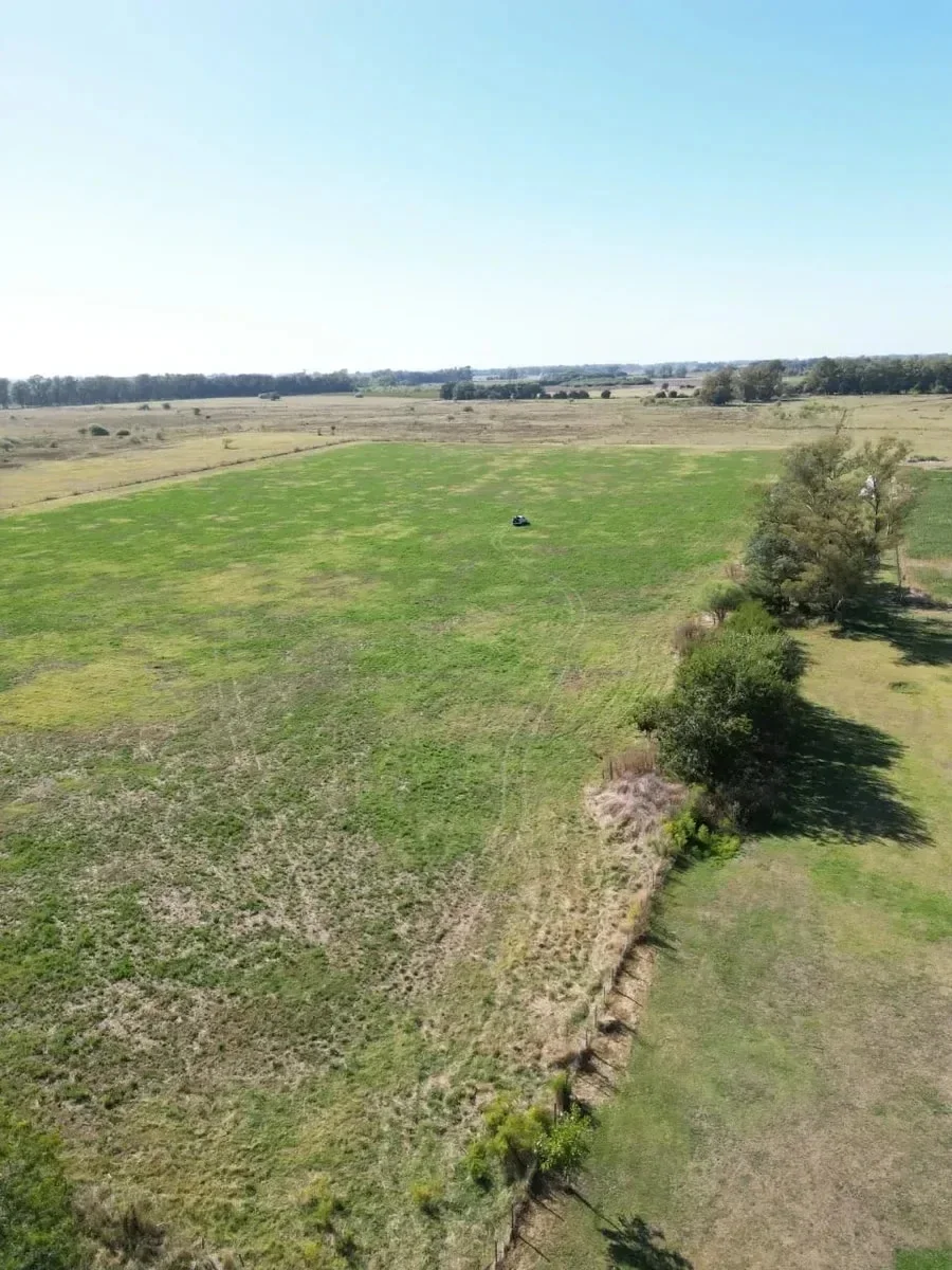 Campo en venta de 940000m2 ubicado en Mercedes - Imagen 3