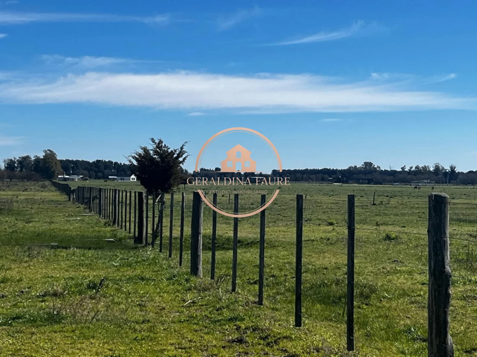 Campo en venta de 940000m2 ubicado en Mercedes - Imagen 1