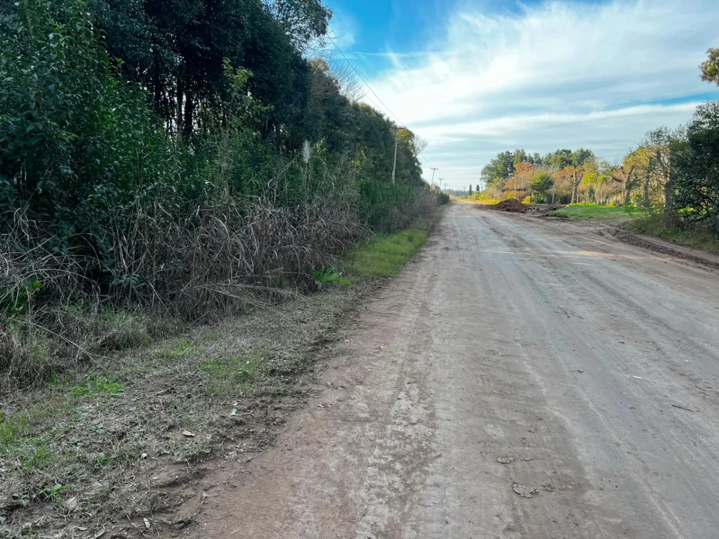Chacra en venta de 55000m2 ubicado en Mercedes - Imagen 2