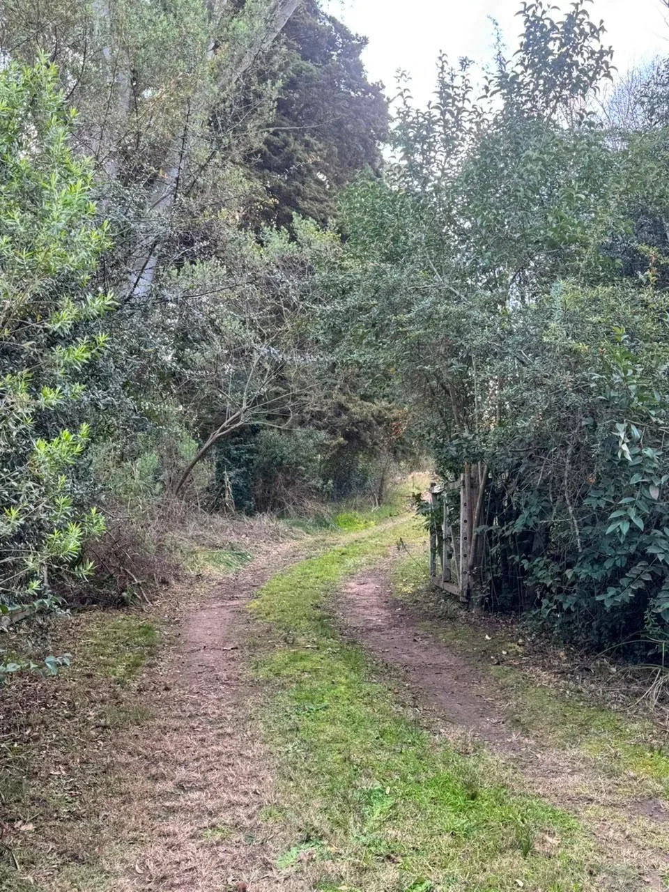 Chacra en venta de 55000m2 ubicado en Mercedes - Imagen 3