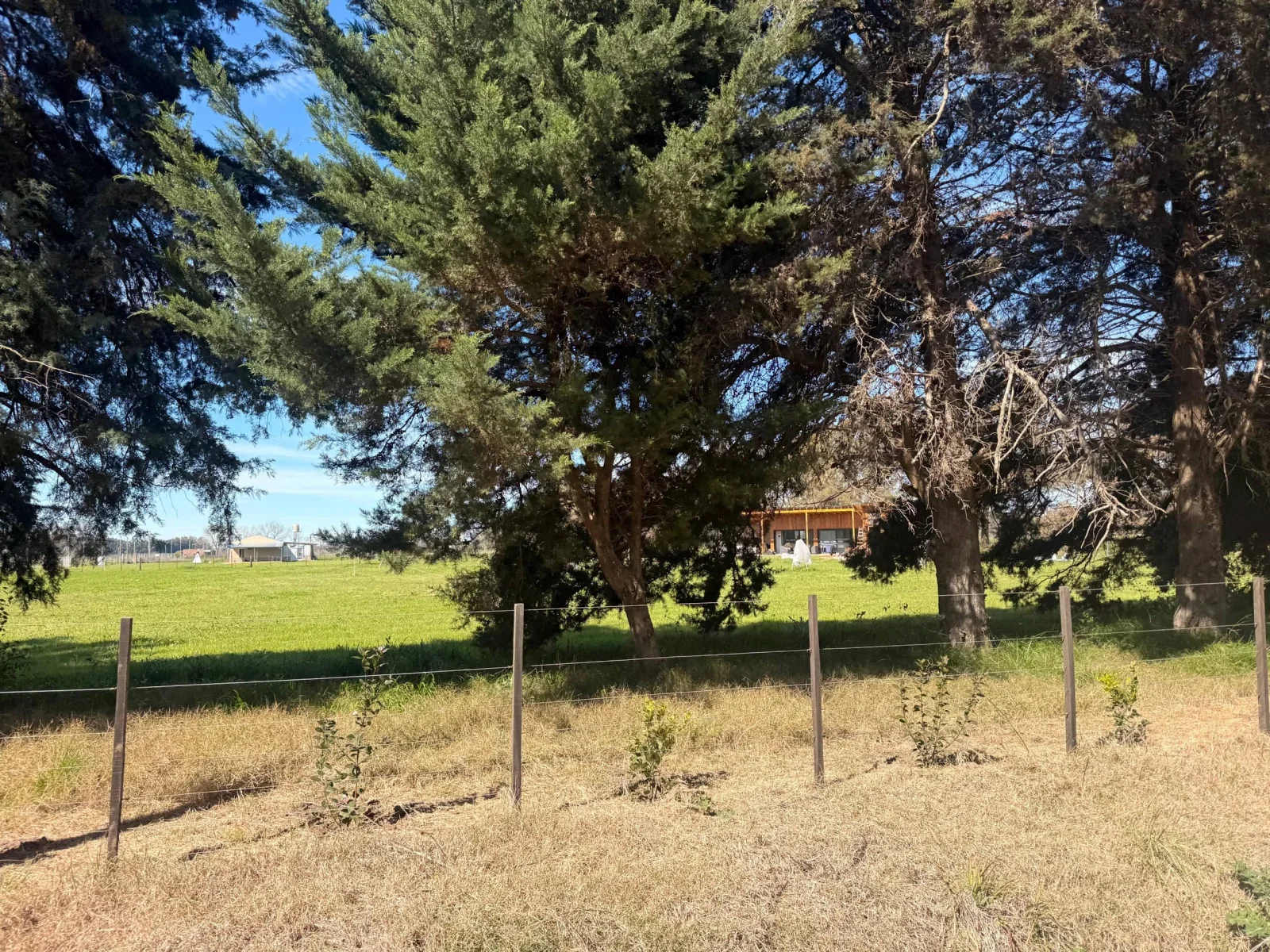 Campo en venta de 940000m2 ubicado en Mercedes - Imagen 5