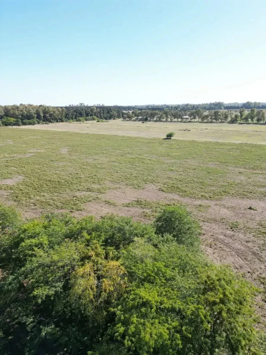 Campo en venta de 940000m2 ubicado en Mercedes - Imagen 4