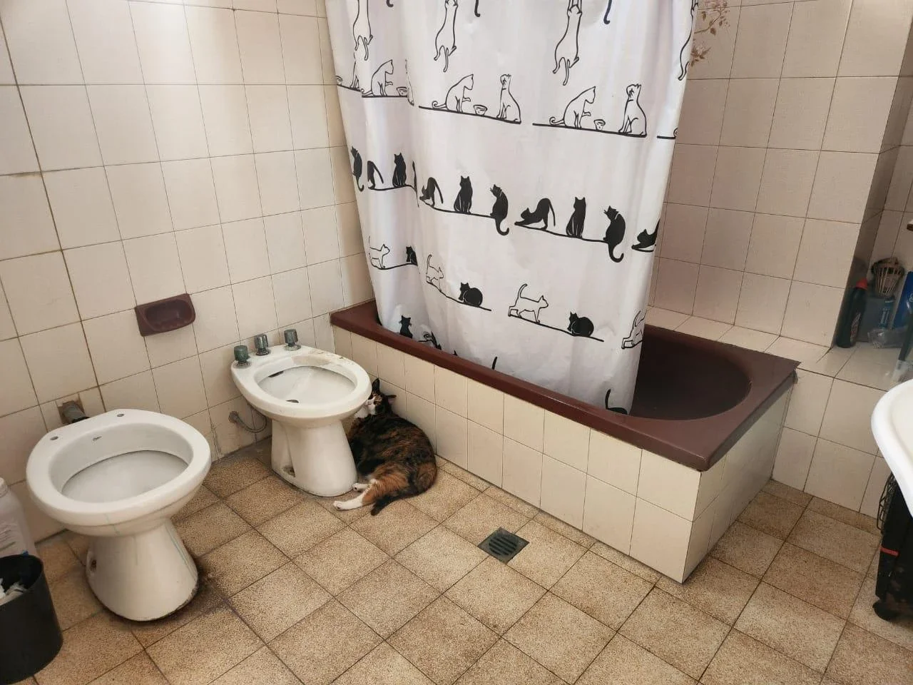 Casa en venta c/ cochera en Lanús Oeste - Imagen 3