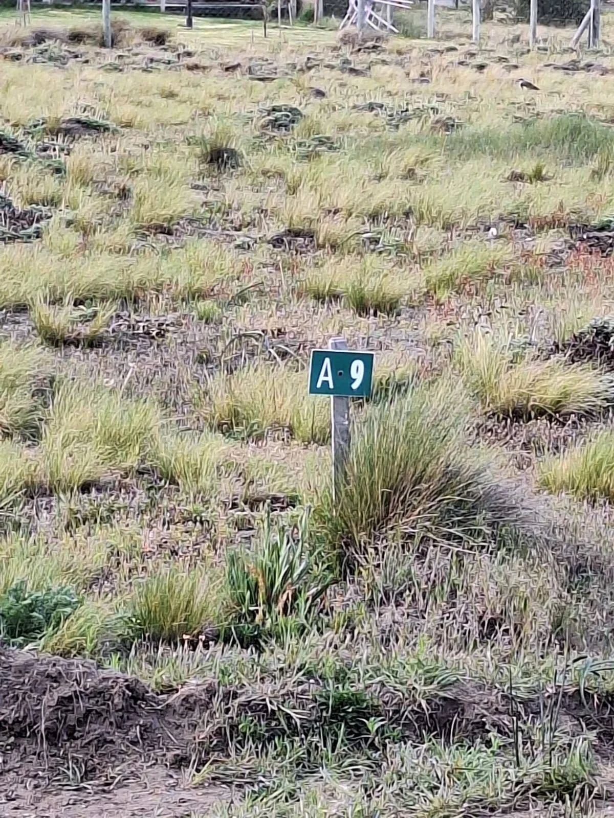 Terreno / Lote en venta de 1500m2 ubicado en San Martin de los Andes - Imagen 5