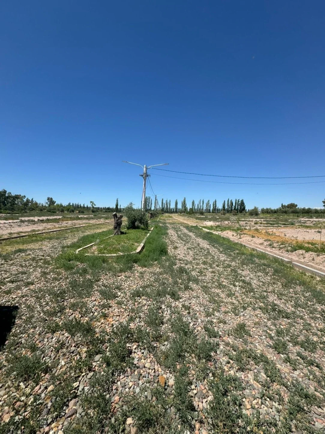 LOTES EN VENTA - BARRIO PRIVADO TERRA PERUGIA - LUJÁN DE CUYO - Imagen 4