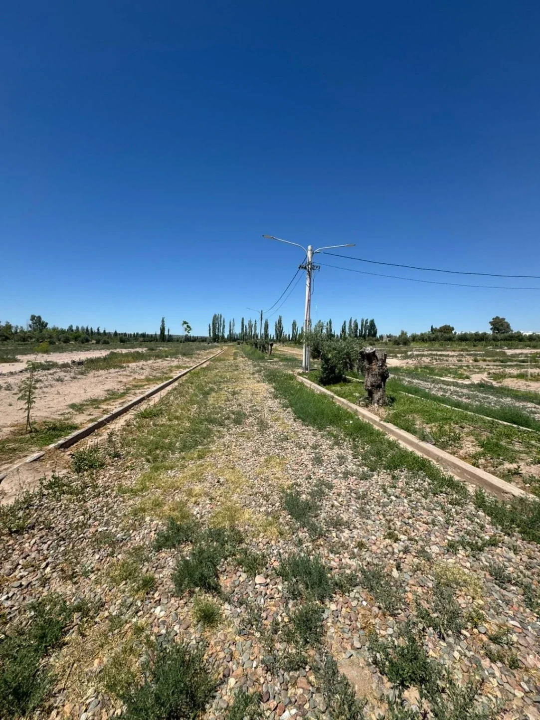 LOTES EN VENTA - BARRIO PRIVADO TERRA PERUGIA - LUJÁN DE CUYO - Imagen 2