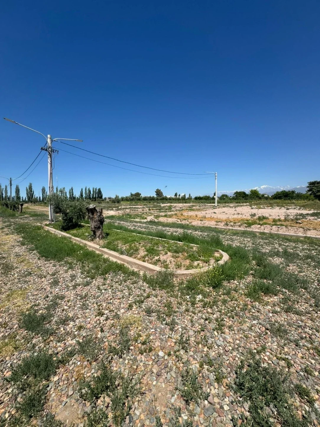 LOTES EN VENTA - BARRIO PRIVADO TERRA PERUGIA - LUJÁN DE CUYO - Imagen 3