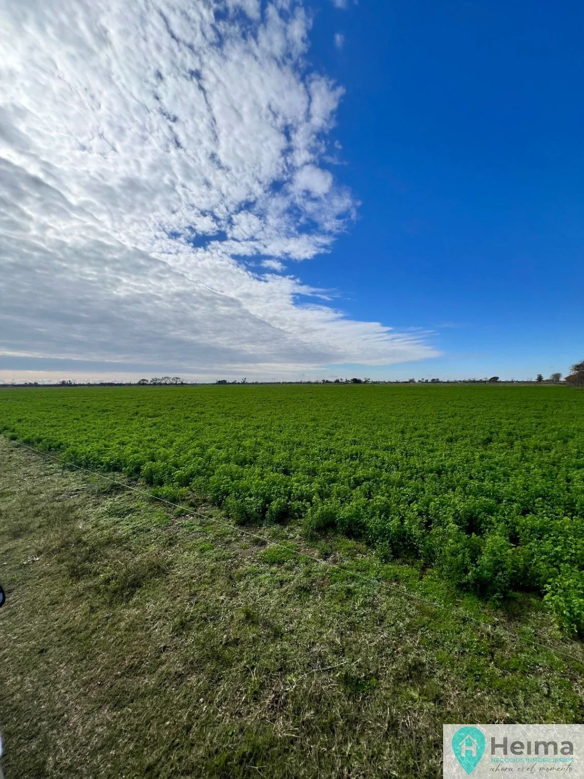 Campo en venta de 16ha ubicado en Nuevo Torino - Imagen 4