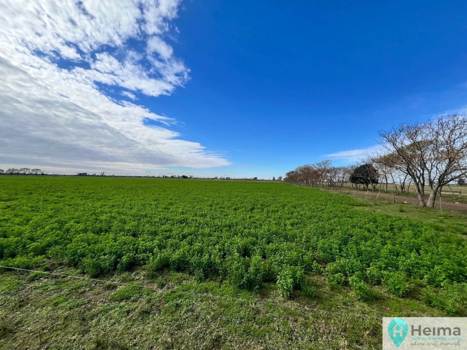 Campo en venta de 16ha ubicado en Nuevo Torino - Imagen 2