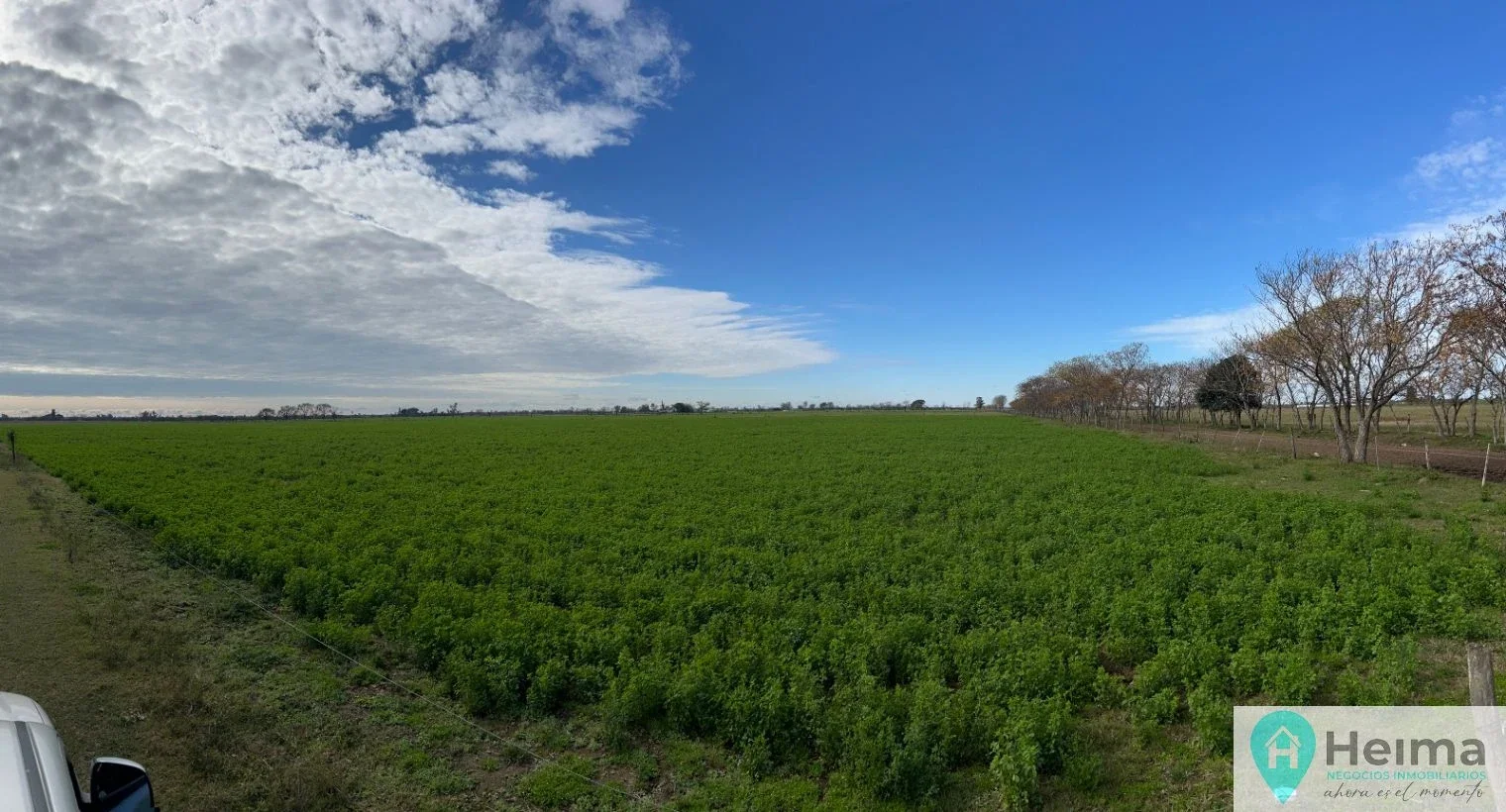 Campo en venta de 16ha ubicado en Nuevo Torino - Imagen 3